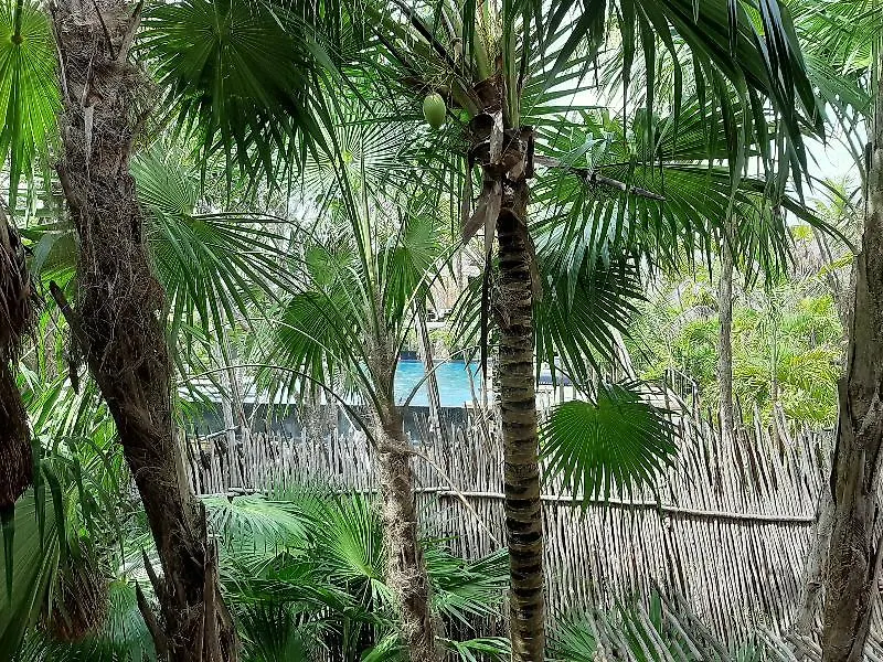 Hotel The Radhoo Tulum - Adults Only